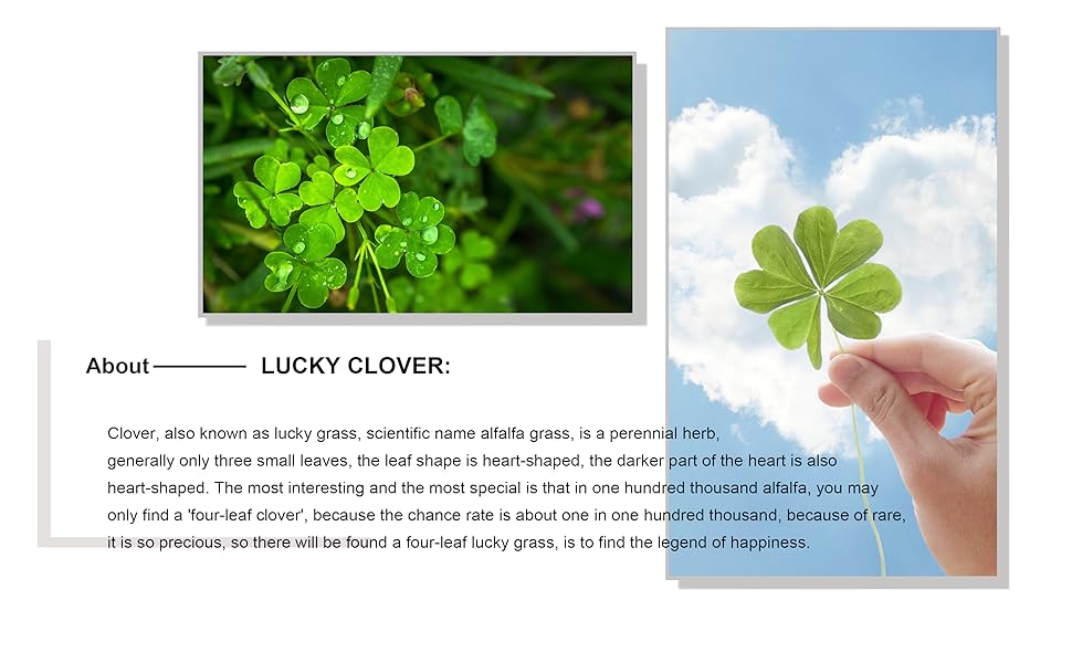 18K Gold Plated Clover Bracelet Set for Women Fashion Simple Four Leaf Lucky Flower Bracelets Jewelry Gifts for Women 3Pcs