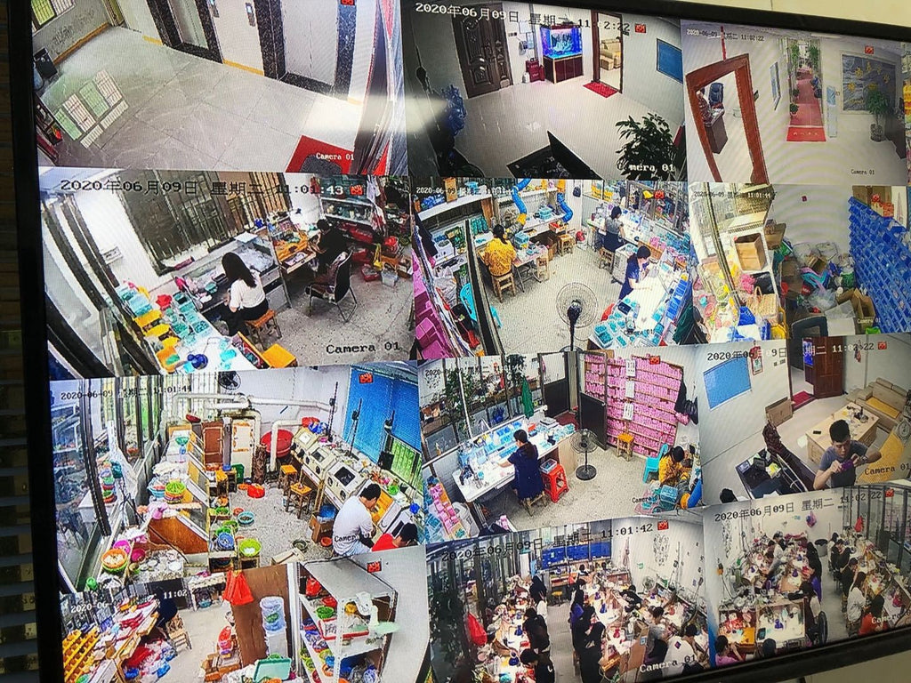 Cross-Border Live Streaming Super Shiny Ten Hearts Ten Arrows Cross Pendant Collarbone Chain for Women Full Diamond Heavy Craft Hip-Hop Style Cross Necklace